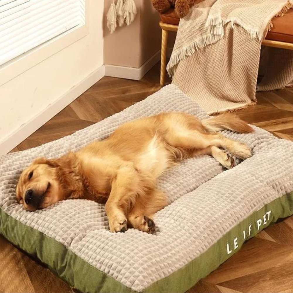 Plush fleece pet bed ensures ultimate dog comfort. A cozy, washable bed, perfect for all pets.