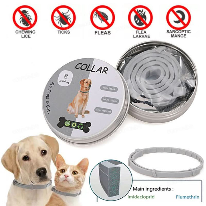 Dog & Cat 8-month flea and tick protection collar. Waterproof pest control for pets.