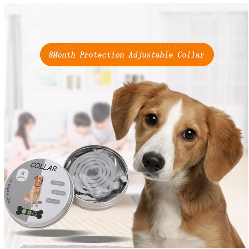New Dogs' & Cats' 8-Month Flea and Tick Protection Collar on a clean surface. Pet pest control.