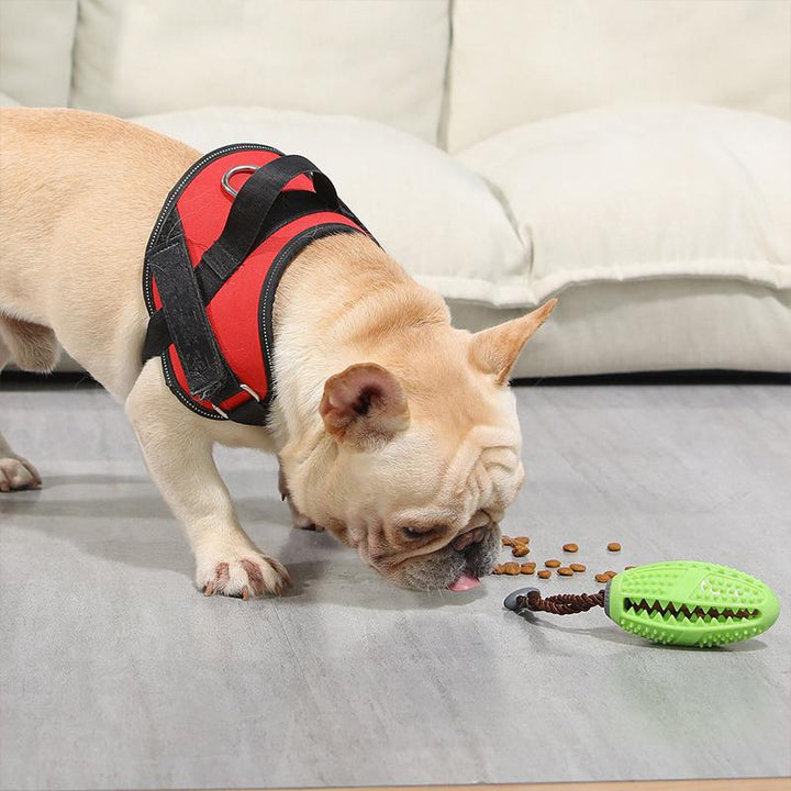 Side view of treat dispensing dog toy, ideal for playful dogs and promoting clean teeth, dog health