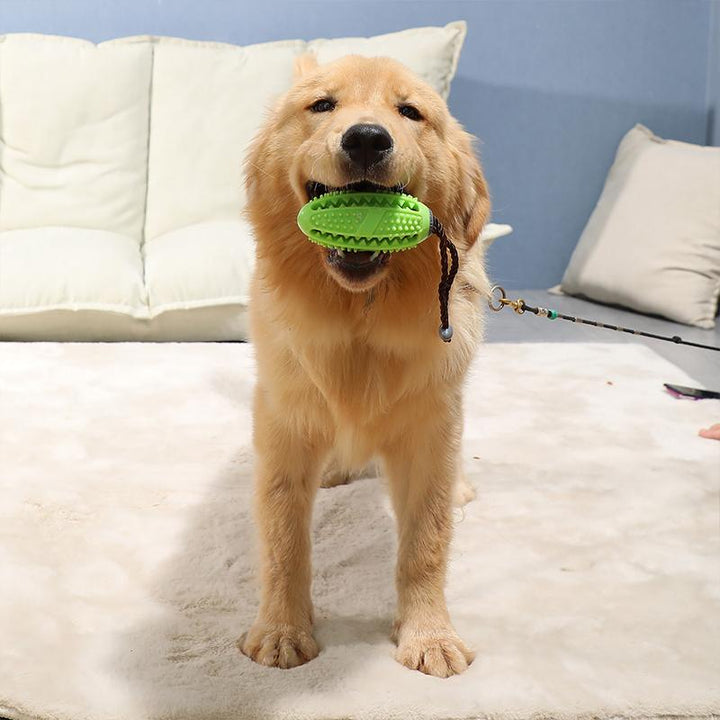 Front view of the dog dental chew toy, showcasing its unique dental cleaning nubs, pet enrichment
