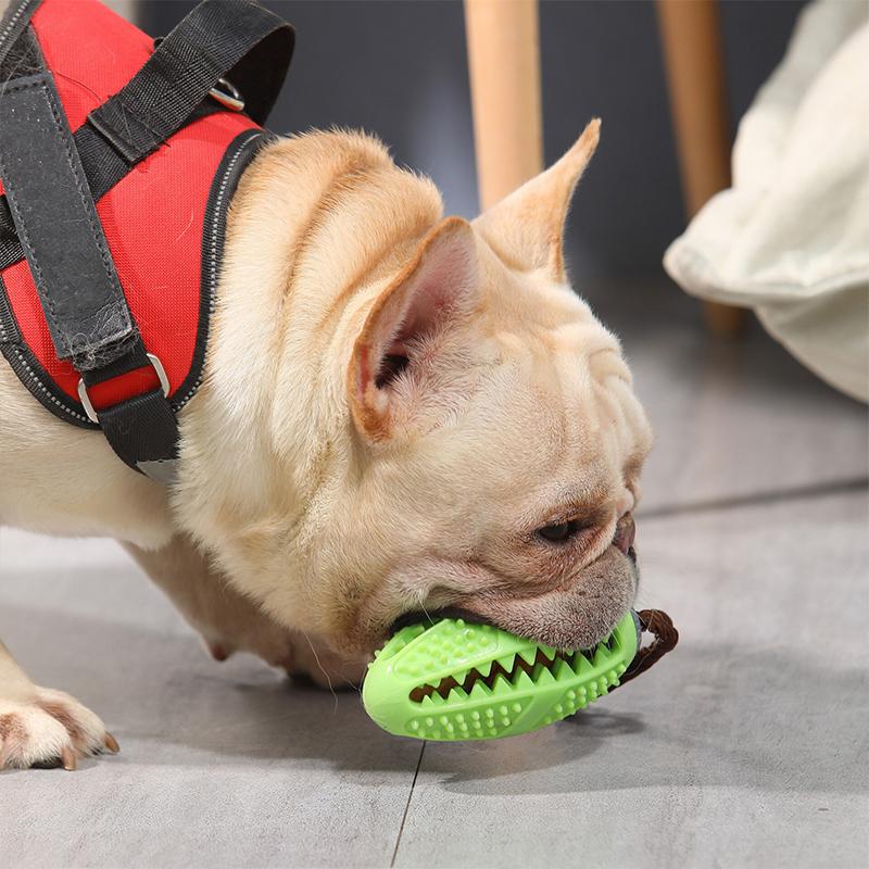 Collection of interactive dog chew toys in various colors, all with dental features and treat dispensers