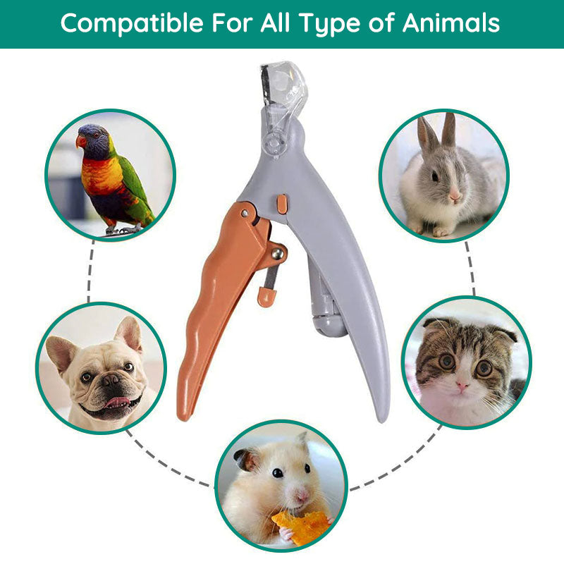Ergonomic dog nail clippers, stainless steel, with quick sensor & LED light for safe at-home pet grooming.