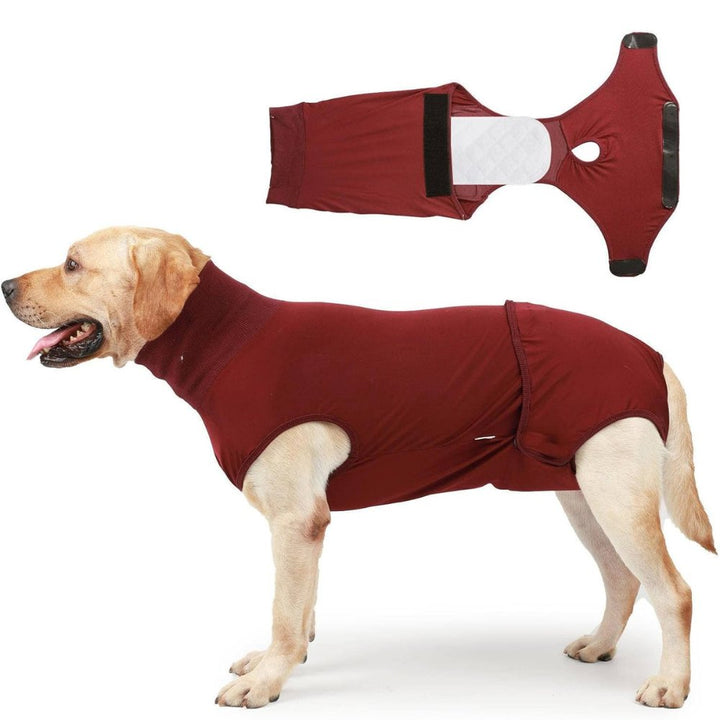 Dog recovery suit, a comfortable cone alternative for post-surgery wound protection & anxiety relief.