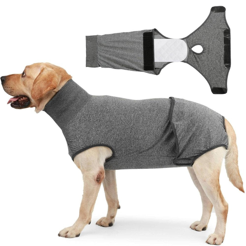 Soft, breathable dog recovery suit protects surgical wounds, provides comfort, and reduces anxiety.