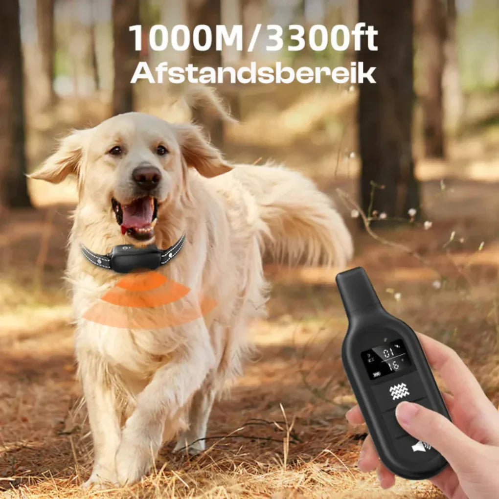 Waterproof dog training e-collar with remote. Effective pet obedience device for outdoor training and behavior correction.