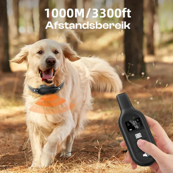 Waterproof dog training e-collar with remote. Effective pet obedience device for outdoor training and behavior correction.