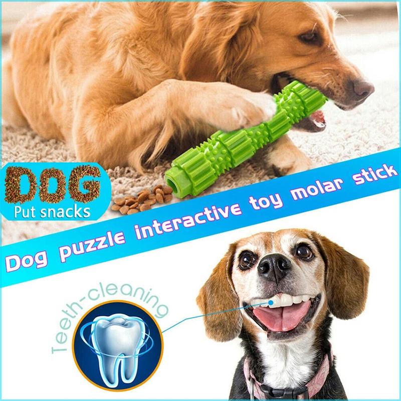 Assortment of colorful TPR dog dental chew toys, perfect for oral health and stimulating play