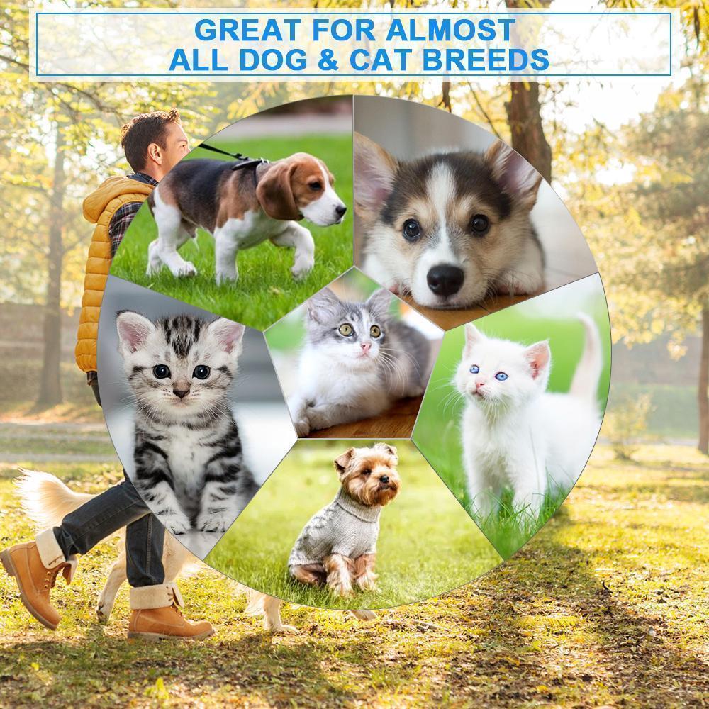 Rechargeable electric pet comb, an essential grooming tool for maintaining pet hygiene