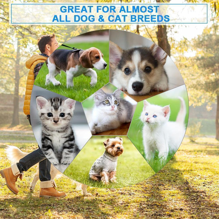 Rechargeable electric pet comb, an essential grooming tool for maintaining pet hygiene