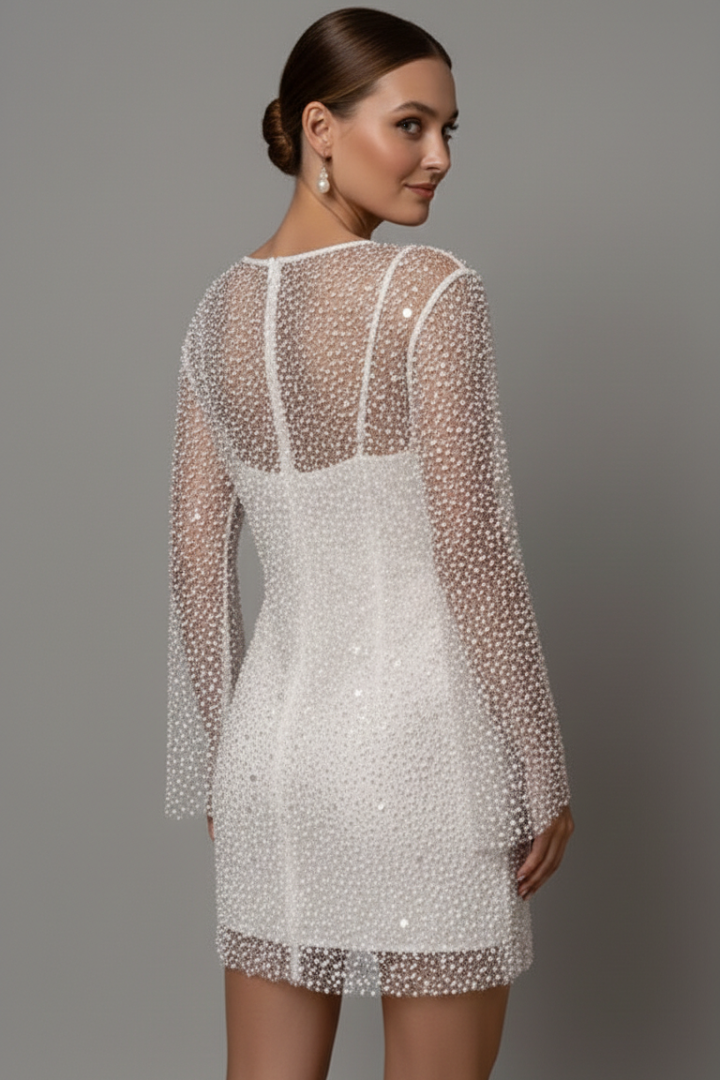 Feminine elegant mesh overlay mini dress for women, a sophisticated choice for special occasions.