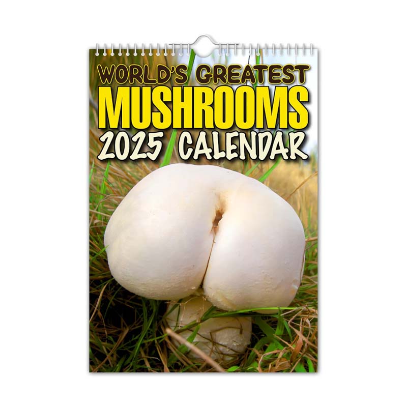 Fungi Wall Calendar cover, featuring a captivating collage of various colorful mushroom illustrations