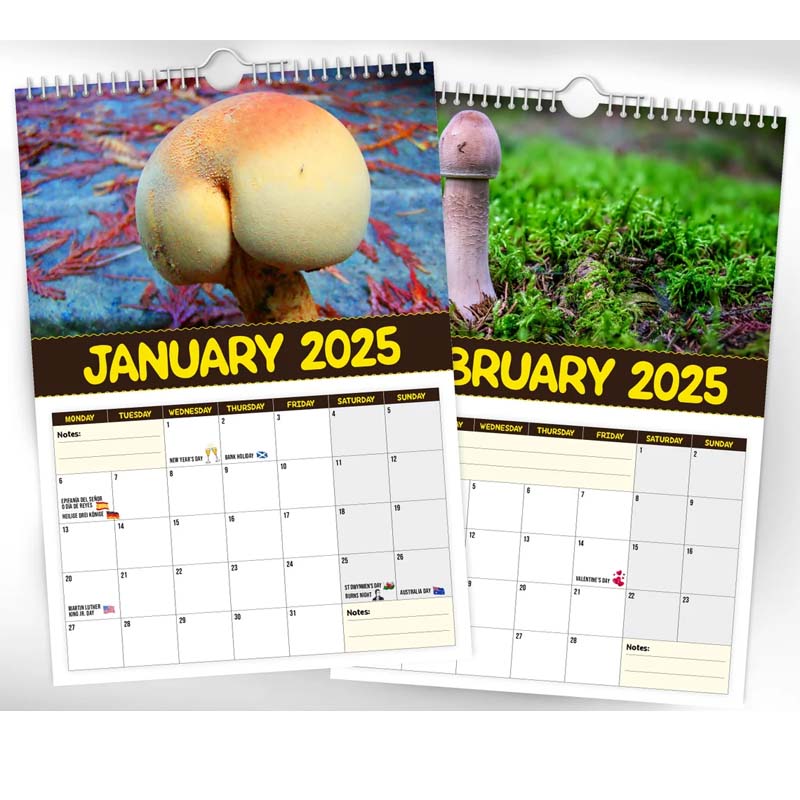Top-down view of the Fungi Wall Calendar with each month's mushroom highlighted, ideal for nature lovers