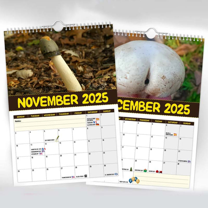 Fungi Wall Calendar, a beautiful stationery gift with diverse mushroom species, enhancing home decor