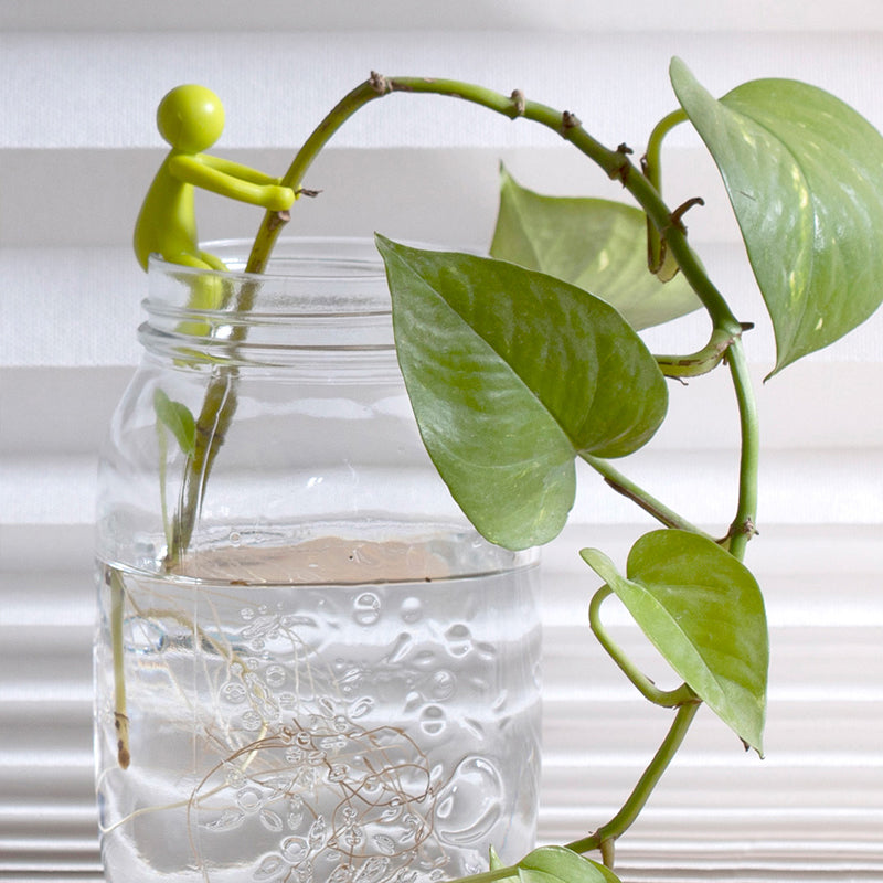 Garden Plant Propagation Buddies displayed in packaging, ready for gardening enthusiasts