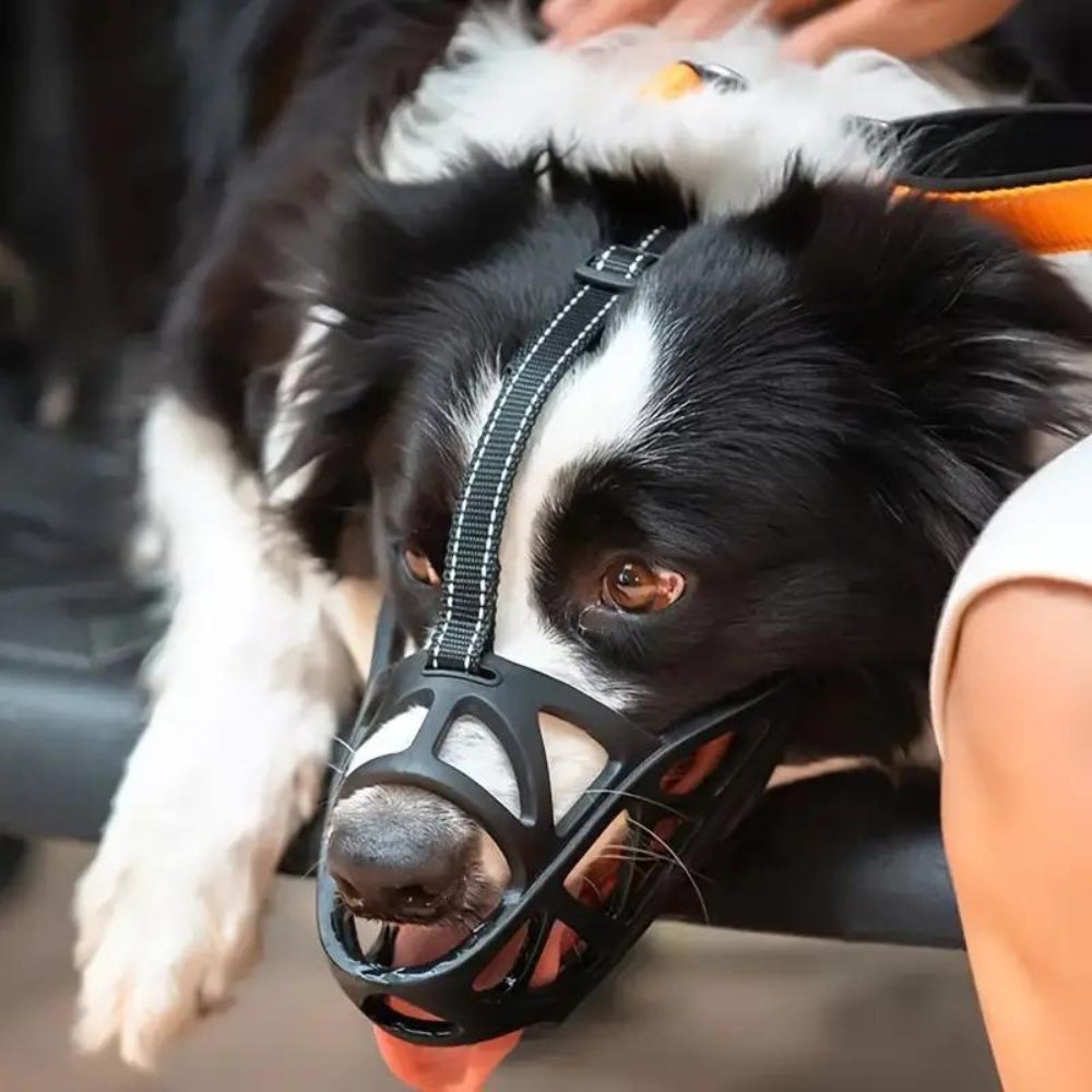 Soft, comfortable dog muzzle for anti-bark training, behavior control, & safe walks. Pet safety.