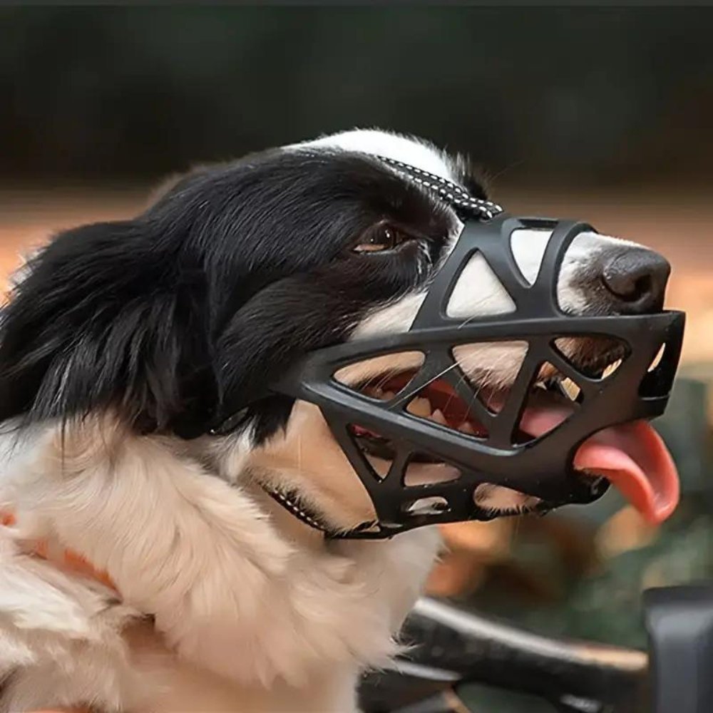 Stress-free dog muzzle offers gentle control, promotes calm behavior during walks & vet visits.