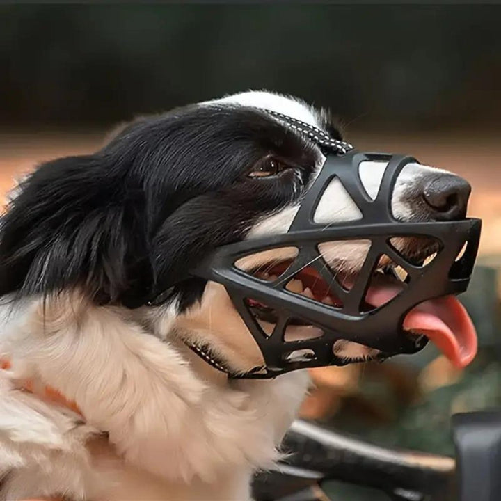 Stress-free dog muzzle offers gentle control, promotes calm behavior during walks & vet visits.