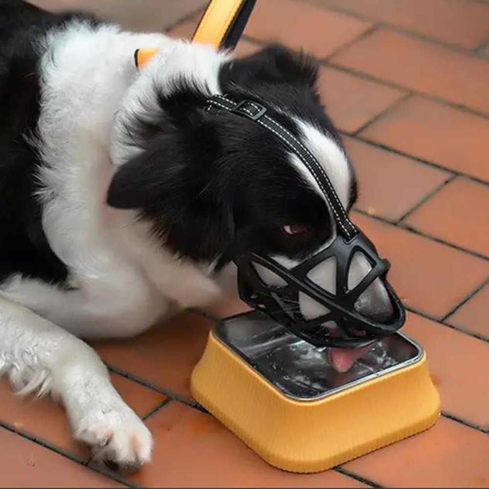 Lightweight, breathable dog muzzle designed for ultimate pet comfort & gentle control during training.