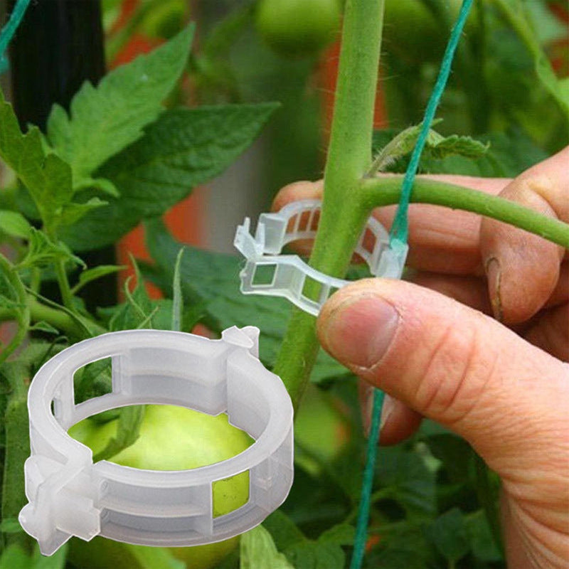 Green garden plant support clips for healthy vine growth, ideal for tomatoes and cucumbers.
