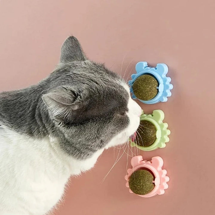 Green interactive pet catnip ball toy for cats, enticing feline playtime enrichment