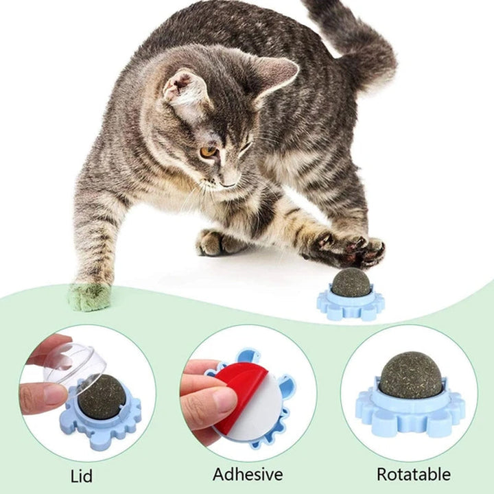 Pink interactive pet catnip ball toy, engaging feline entertainment and exercise