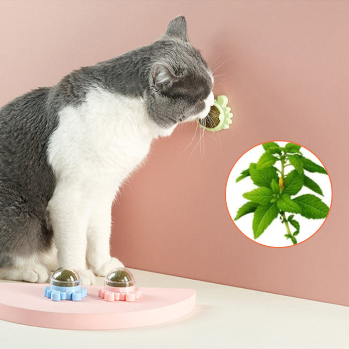 Close-up of interactive green catnip ball toy, highlighting texture and catnip infusion