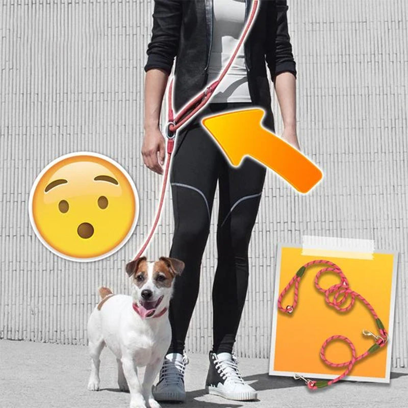 Person jogging with a medium-sized dog on an adjustable hands-free nylon dog leash, walking leash.