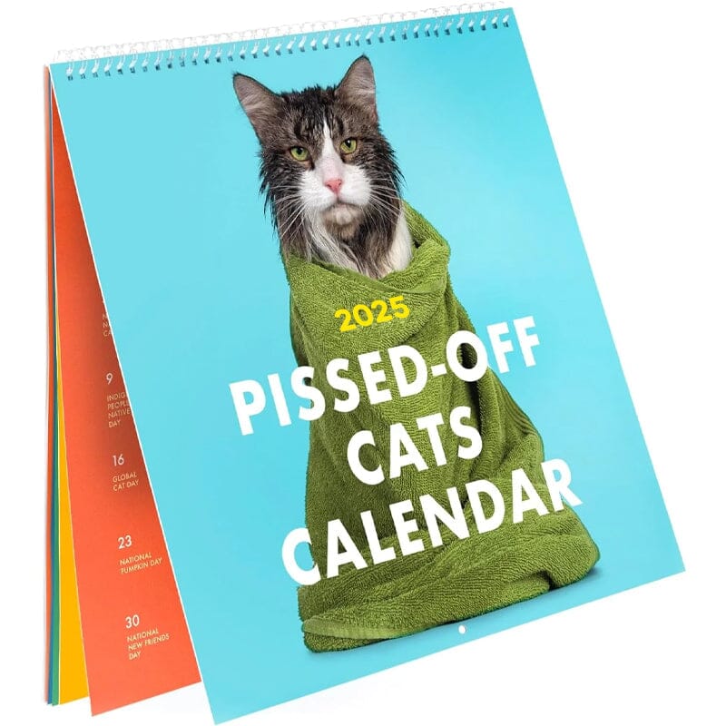Humorous 2024-2025 wall calendar featuring a stylish, grumpy cat. Perfect cat lover gift.