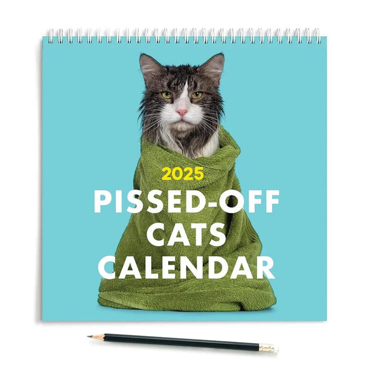 Pissed-off stylish cat wall calendar, perfect for a funny 2025 decorative touch.
