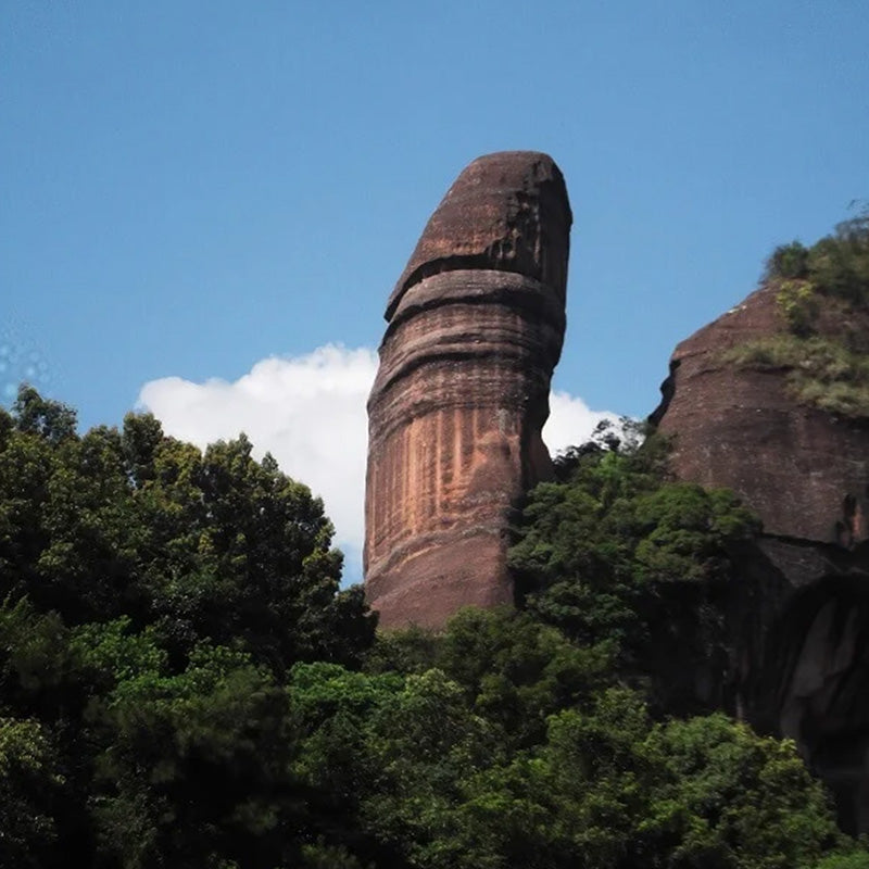 Funny 2025 wall calendar featuring humorous nature scenes, great gift idea