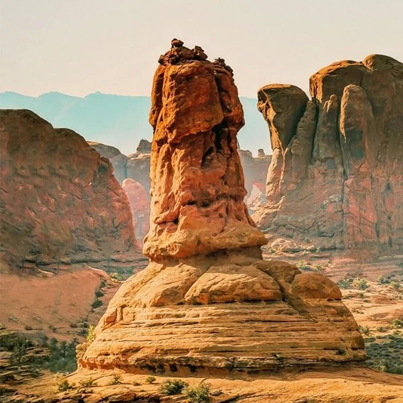 Nature themed 2025 calendar with funny illustrations, unique wall decor or gift