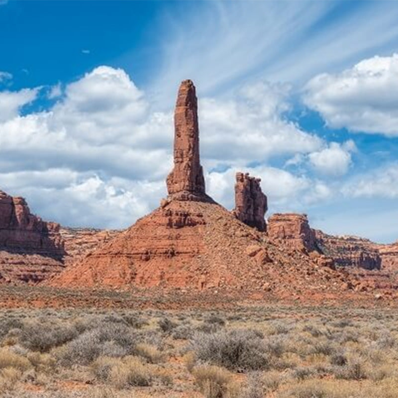 Gag gift calendar 2025: Humorous Nature edition, a funny office present