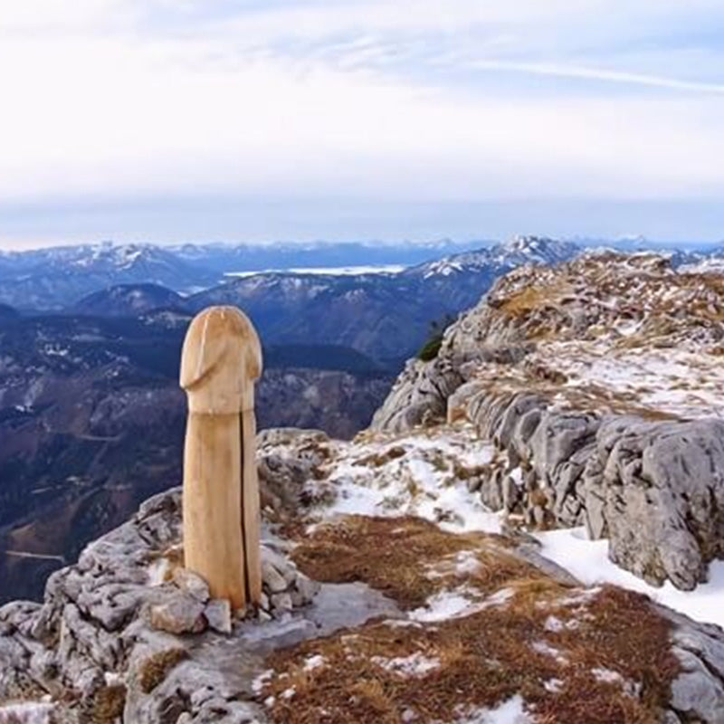 Holiday gift 2025: Humorous Nature wall calendar, funny and cheerful decor