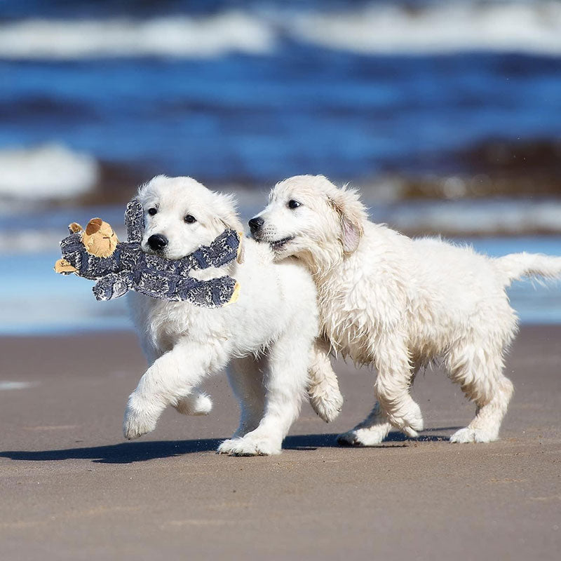 Close-up of a sturdy plush bear dog toy, constructed for even the toughest chewers.