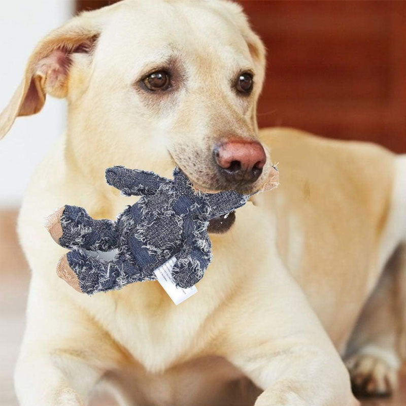 Highly durable plush bear dog accessory, designed to endure rigorous chewing from active dogs.