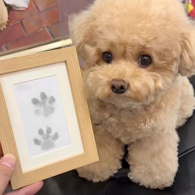Front packaging for Inkless Pet Paw Print Kit, great pet accessory gift