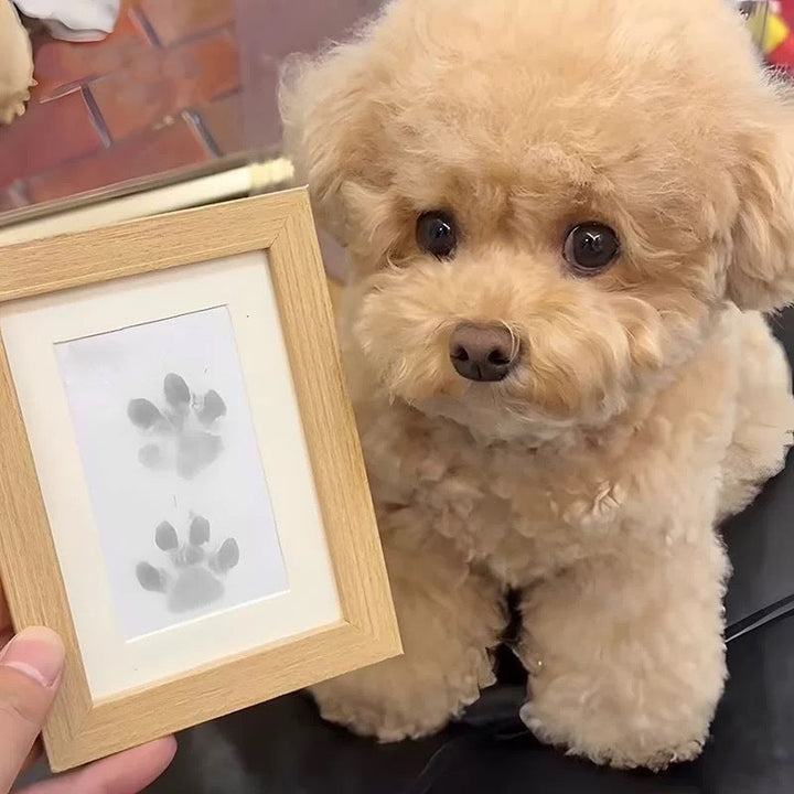 Front packaging for Inkless Pet Paw Print Kit, great pet accessory gift