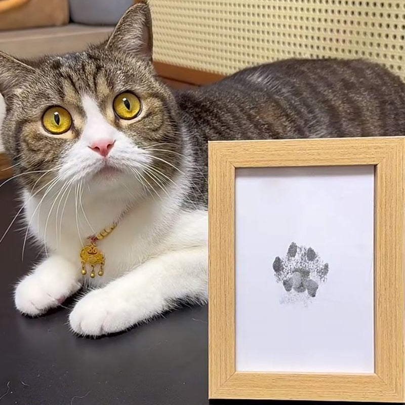 Detail of Inkless Pet Paw Print Kit showing clean-touch ink pad and card