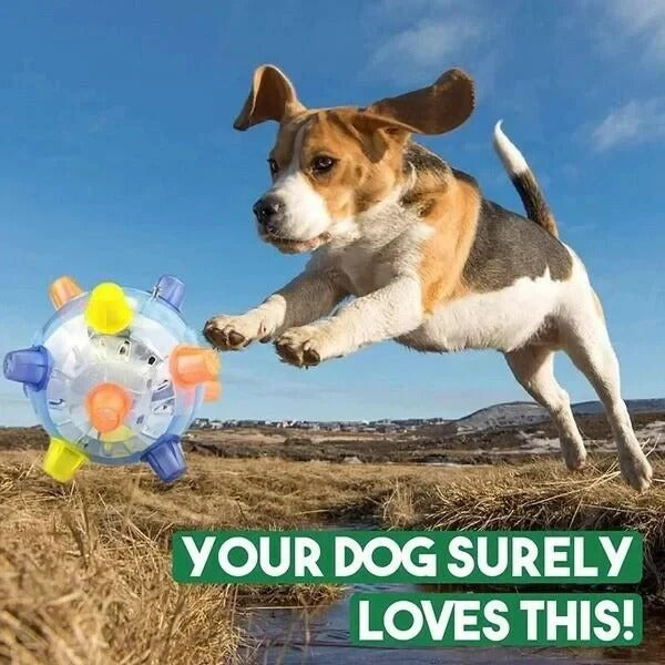 Durable interactive bouncing dog ball providing endless pet entertainment & stimulating dog exercise.