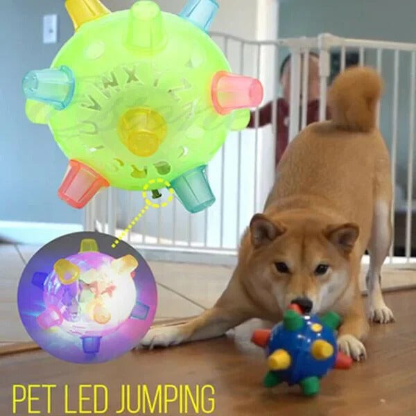 Fun interactive bouncing ball, ideal dog toy for active puppies and energetic dogs' playtime.