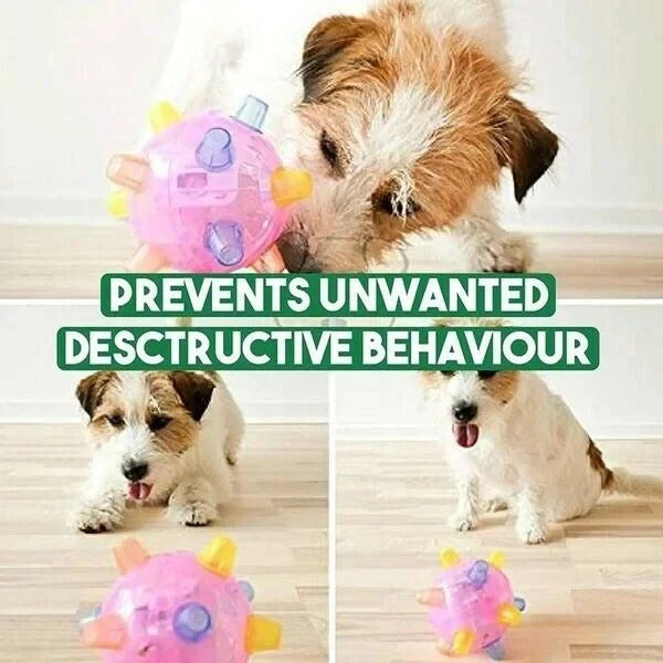 Vibrant interactive bouncing activation ball in action, a great dog toy for stimulating pet play.