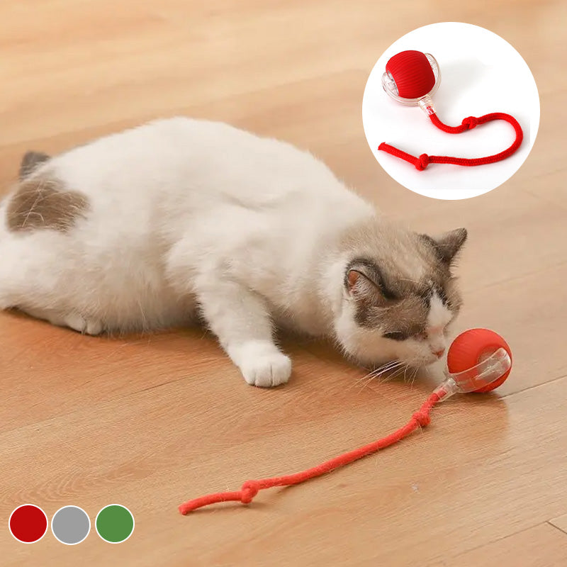 Interactive Cat Play Ball for Indoor Pets, automatic stimulation toy for feline enrichment