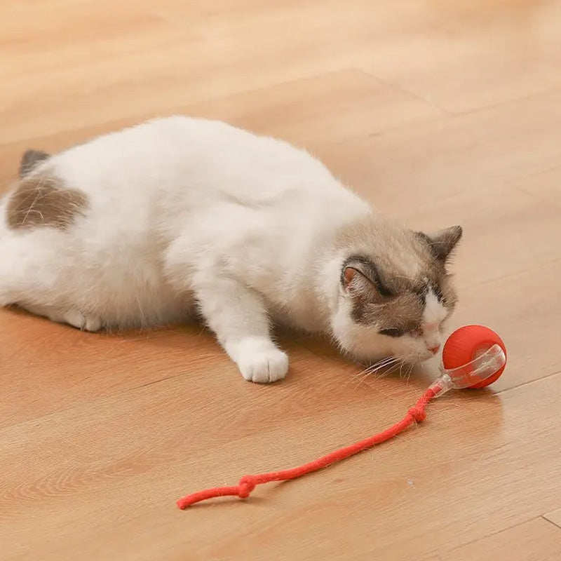 Interactive Cat Play Ball with USB charging port, modern pet supplies for busy pets
