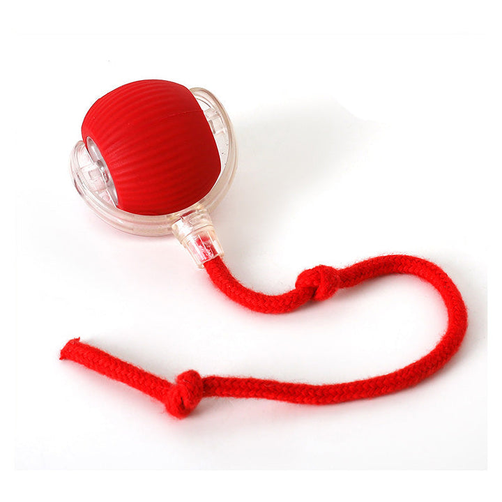 High-angle view of a cat observing the Interactive Cat Play Ball, captivating pet toy