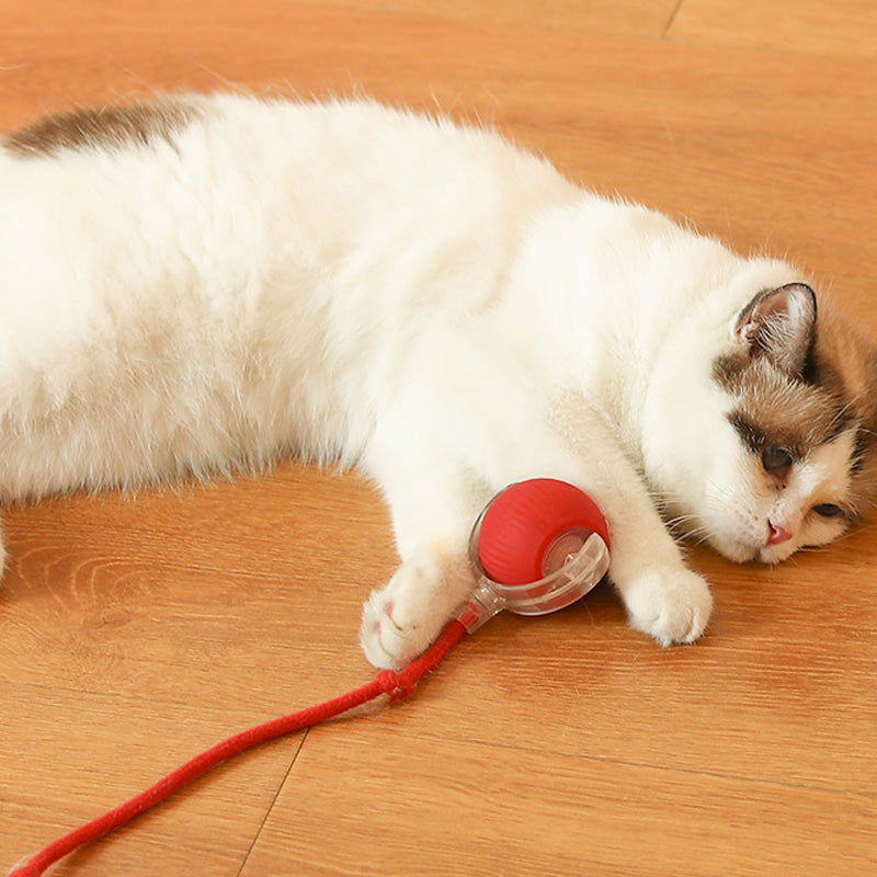 Interactive Cat Play Ball rolling on a carpet, providing engaging pet enrichment