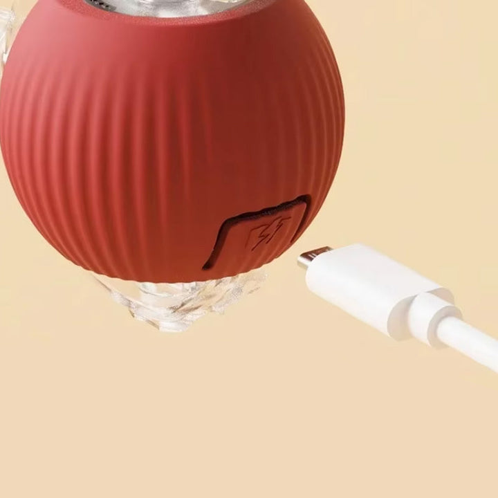 Happy cat batting at an automatic Interactive Cat Play Ball, stimulating playtime