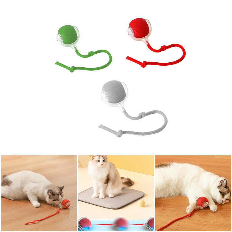 Three Interactive Cat Play Balls in different colors, ideal pet supplies for cats