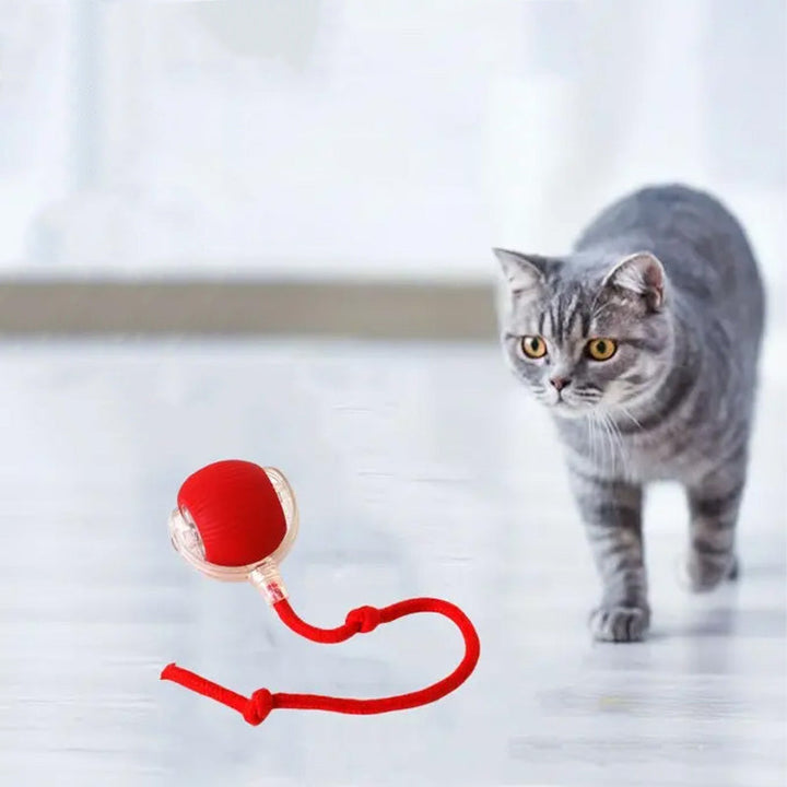 Interactive Cat Play Ball on a hardwood floor, promoting active indoor play for felines