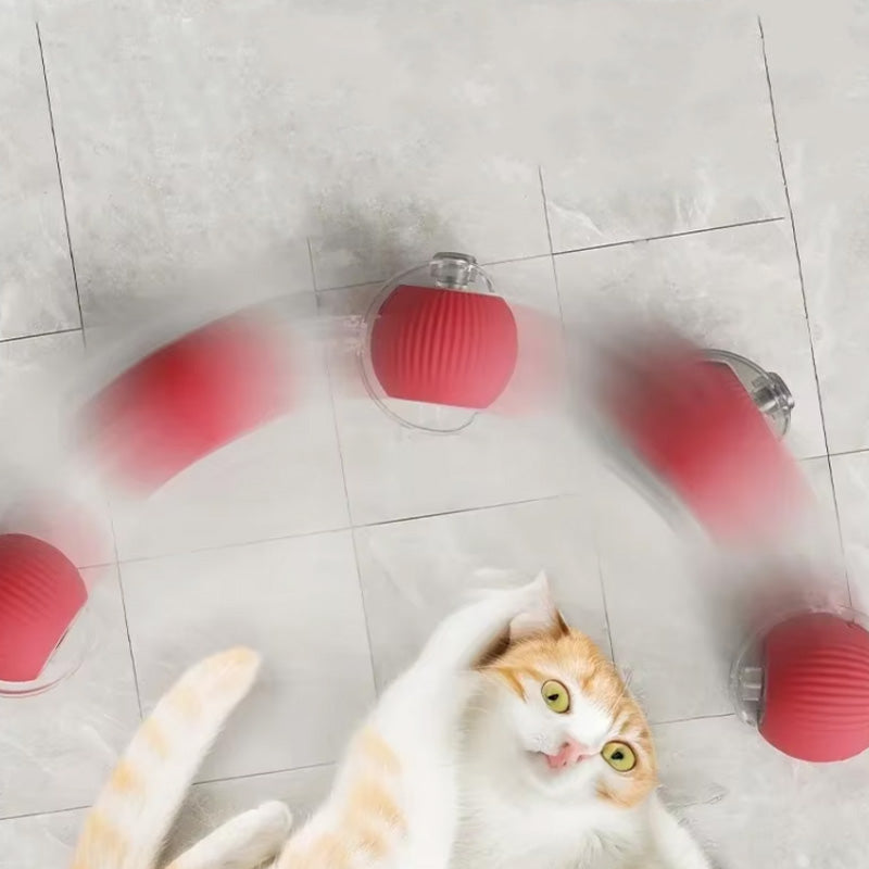 Cat pouncing on an automatic Interactive Cat Play Ball, enhancing play experience